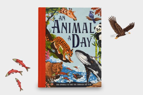 An Animal a Day